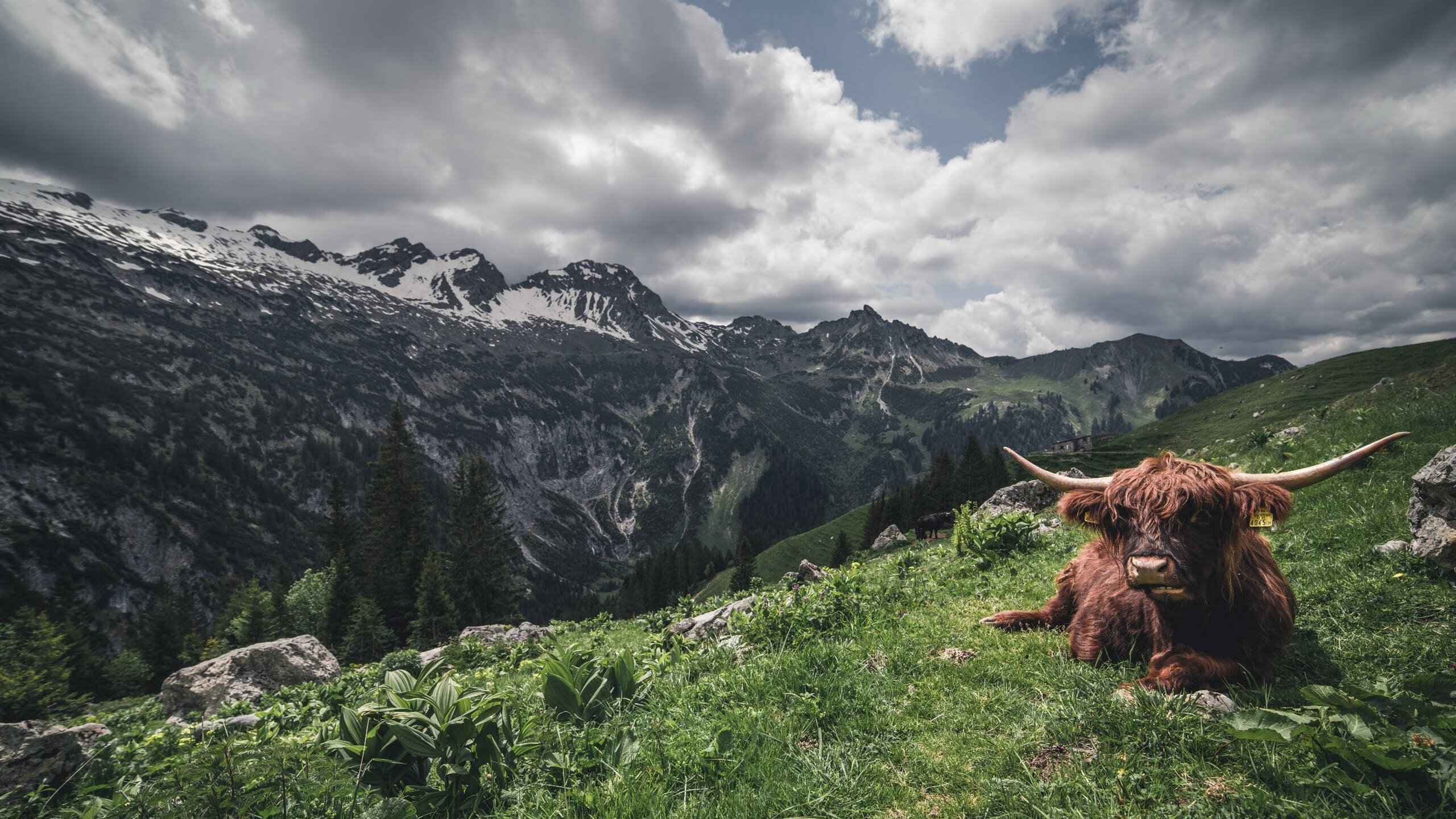 _体育+公益:运动传递爱心与希望_,关于运动的公益广告语