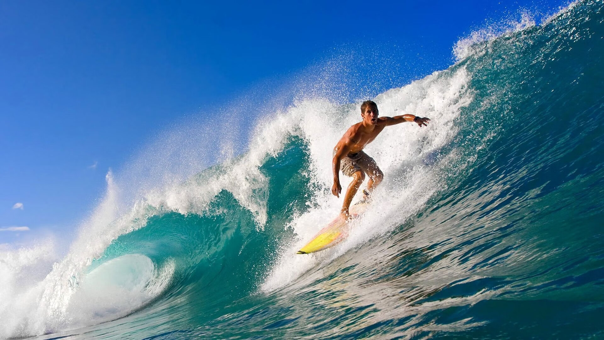 爱游戏体育app-_传统体育新演绎：武术、跑步融合创新_，武术和体育运动的串词