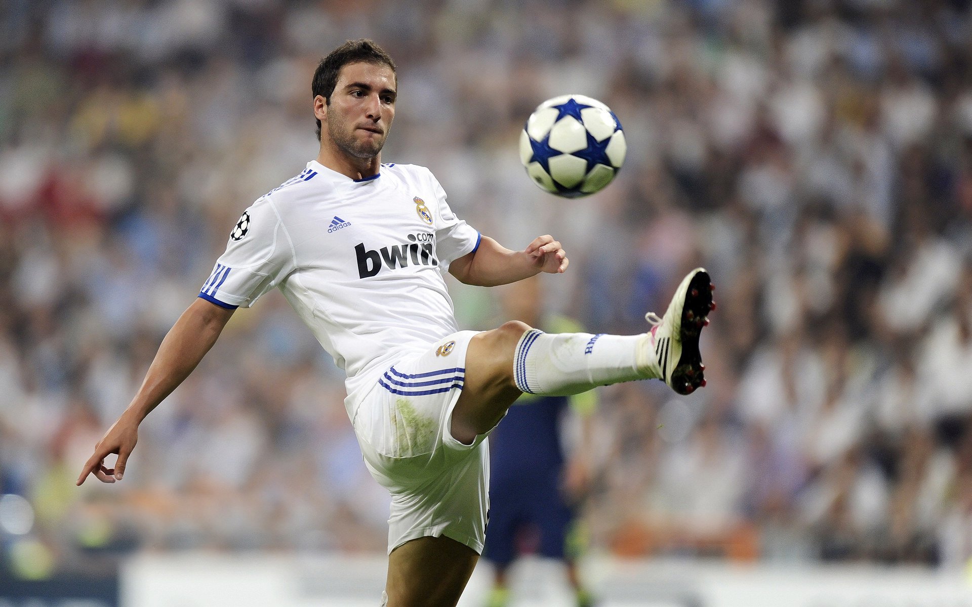 赛季最佳进球评选启动引发球迷投票热潮平台访问激增，年度最佳进球